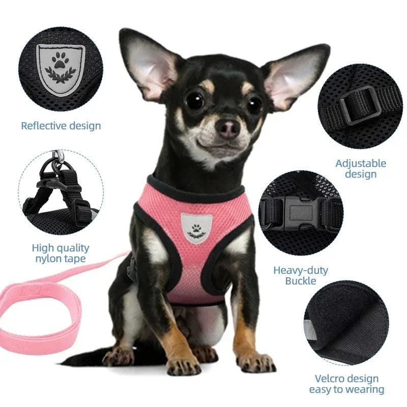 Breathable Mesh Pet Harness and Leash Set for Small to Medium Dogs & Cats