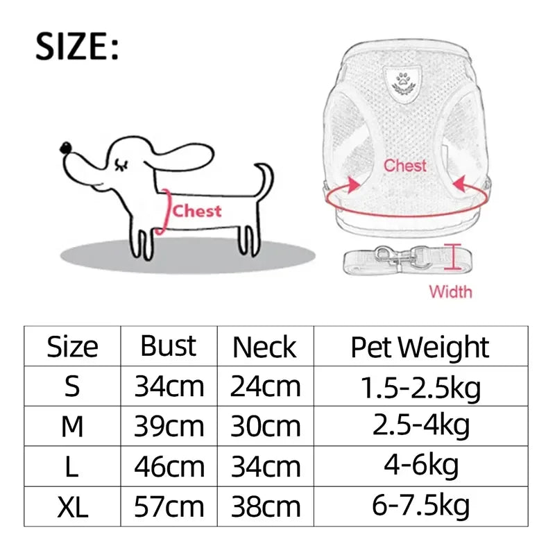 Breathable Mesh Pet Harness and Leash Set for Small to Medium Dogs & Cats