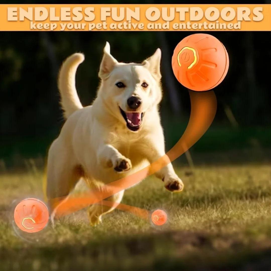 Smart Gravity Electric Amusement Ball | Automatic Bouncing Toy for Dogs & Cats