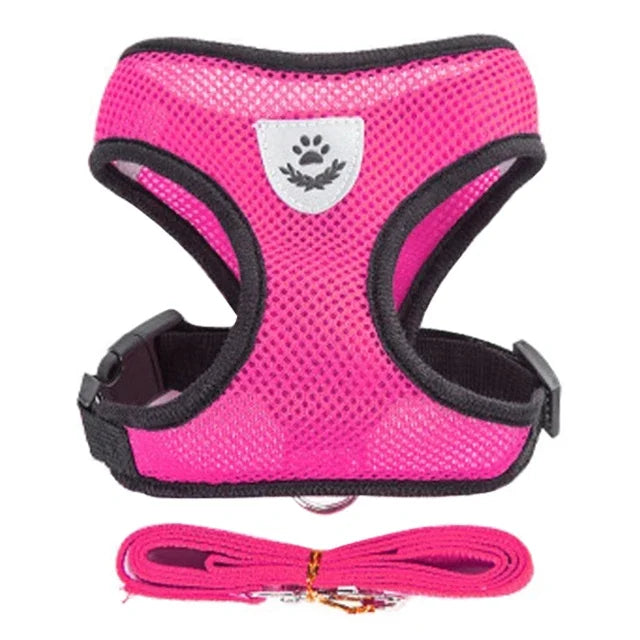 Breathable Mesh Pet Harness and Leash Set for Small to Medium Dogs & Cats
