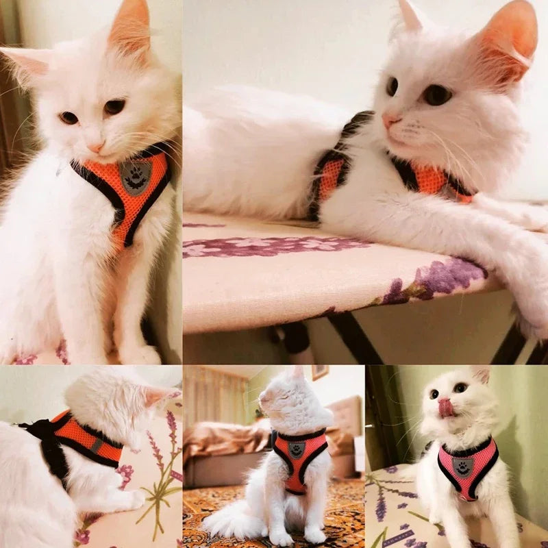 Breathable Mesh Pet Harness and Leash Set for Small to Medium Dogs & Cats