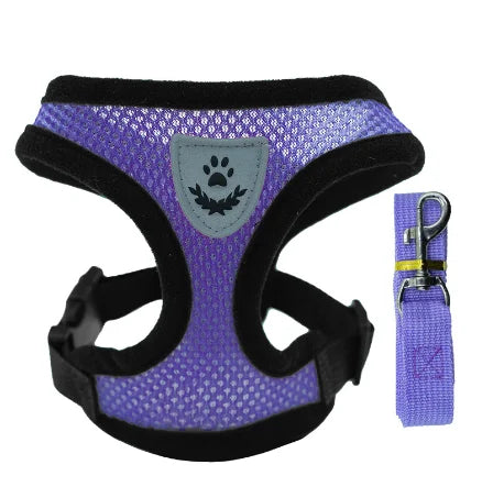 Breathable Mesh Pet Harness and Leash Set for Small to Medium Dogs & Cats