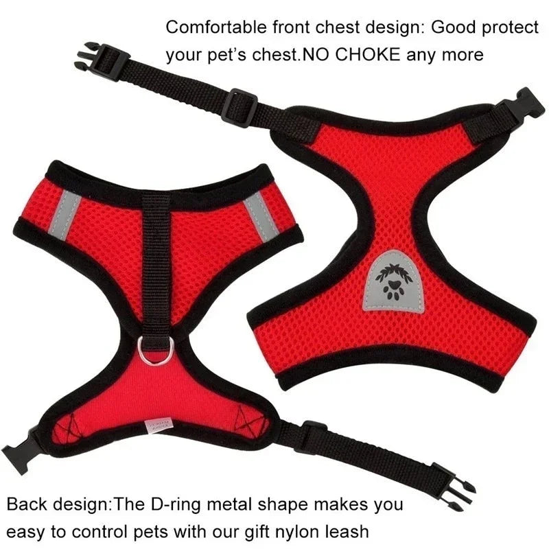 Breathable Mesh Pet Harness and Leash Set for Small to Medium Dogs & Cats