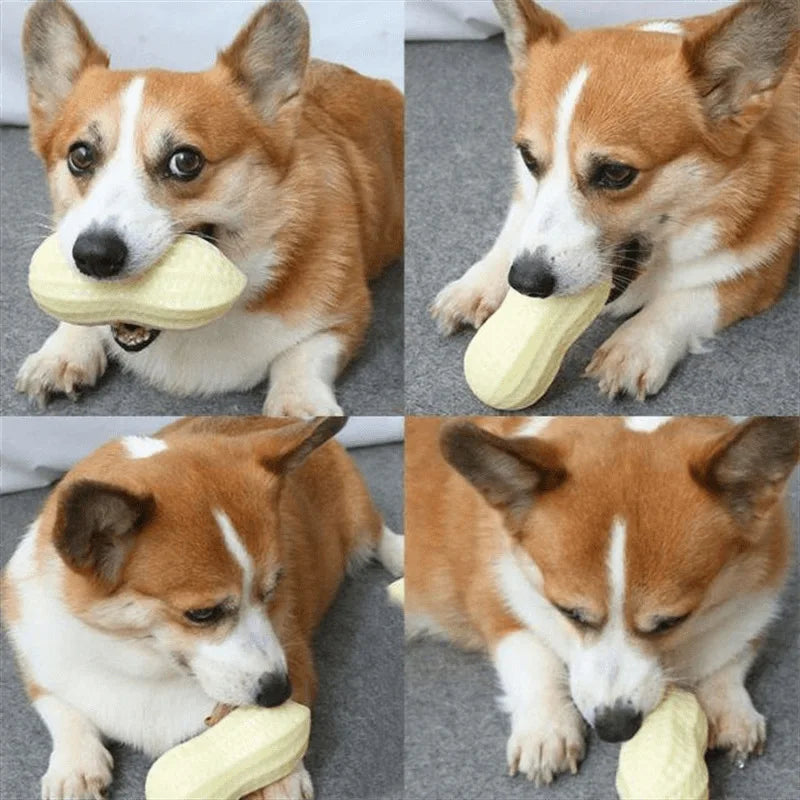 BarkBuddy™ Squeaky Peanut Durable Dog Chew Toy