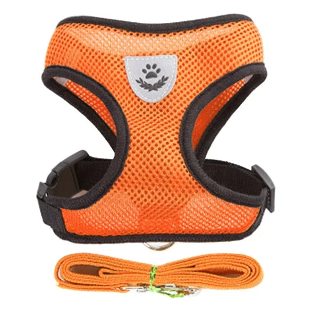 Breathable Mesh Pet Harness and Leash Set for Small to Medium Dogs & Cats