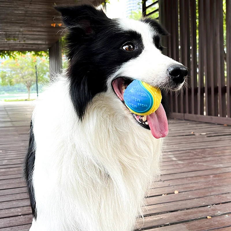 Interactive Squeaky TPR Dog Ball | Bite-Resistant Teeth Cleaning Toy