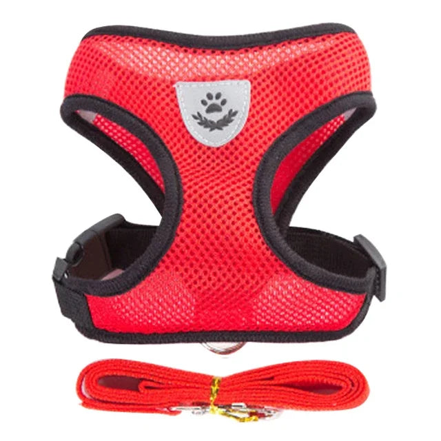 Breathable Mesh Pet Harness and Leash Set for Small to Medium Dogs & Cats