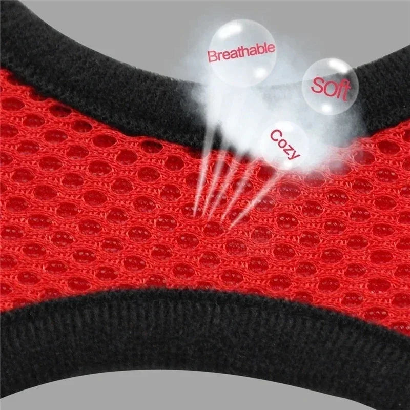Breathable Mesh Pet Harness and Leash Set for Small to Medium Dogs & Cats