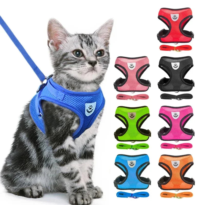 Breathable Mesh Pet Harness and Leash Set for Small to Medium Dogs & Cats
