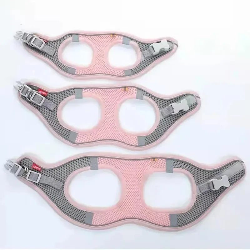 Reflective Breathable Pet Harness & Leash Set | Adjustable Walking Vest for Cats & Small-Medium Dogs