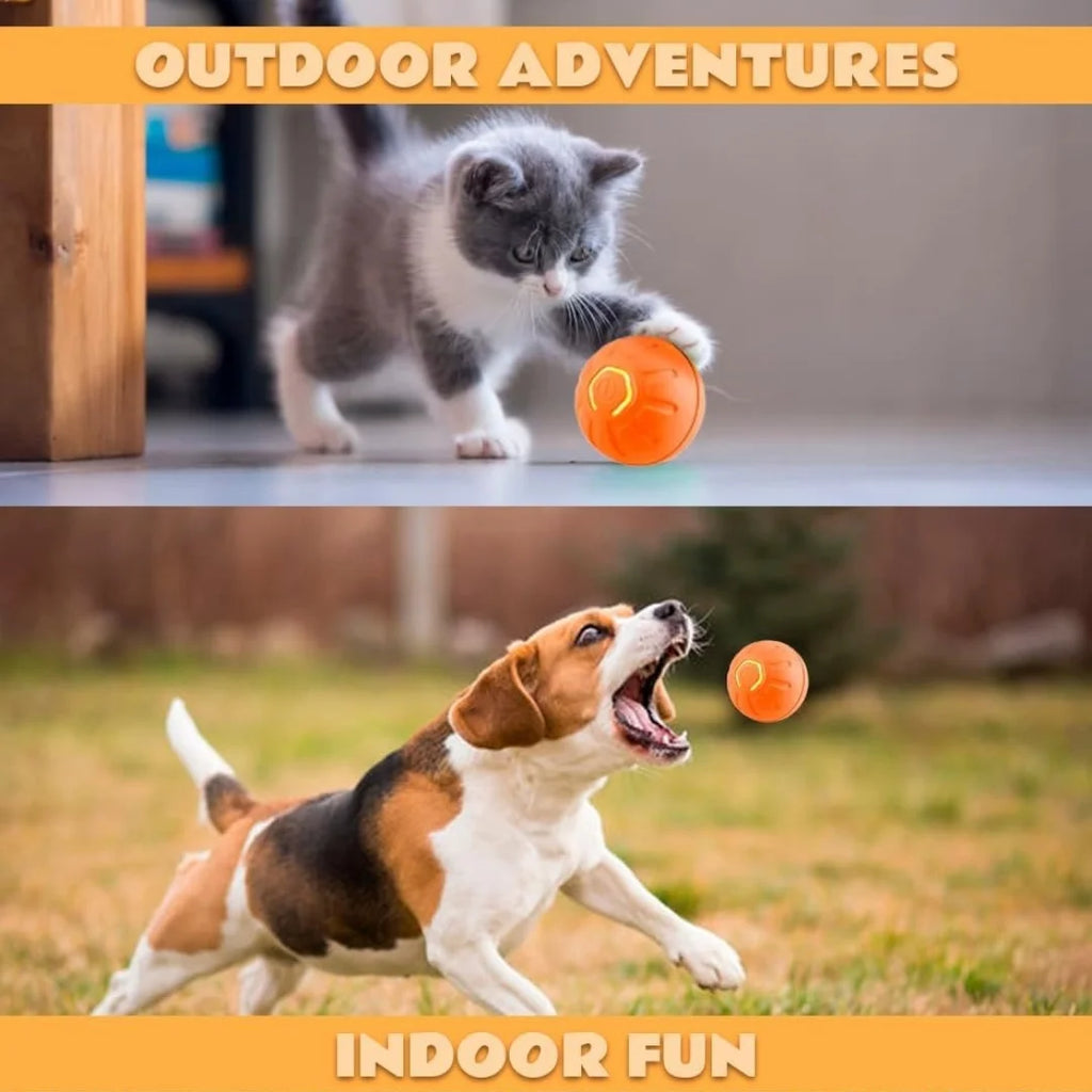 Smart Gravity Electric Amusement Ball | Automatic Bouncing Toy for Dogs & Cats