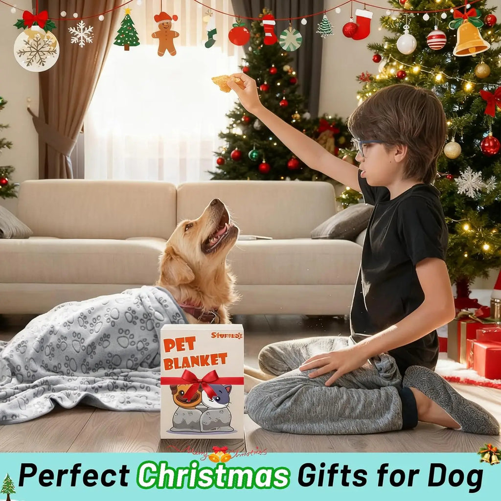 Premium Washable Soft Pet Blanket | Warm Plush Fluffy Throw for Small, Medium & Large Dogs & Cats