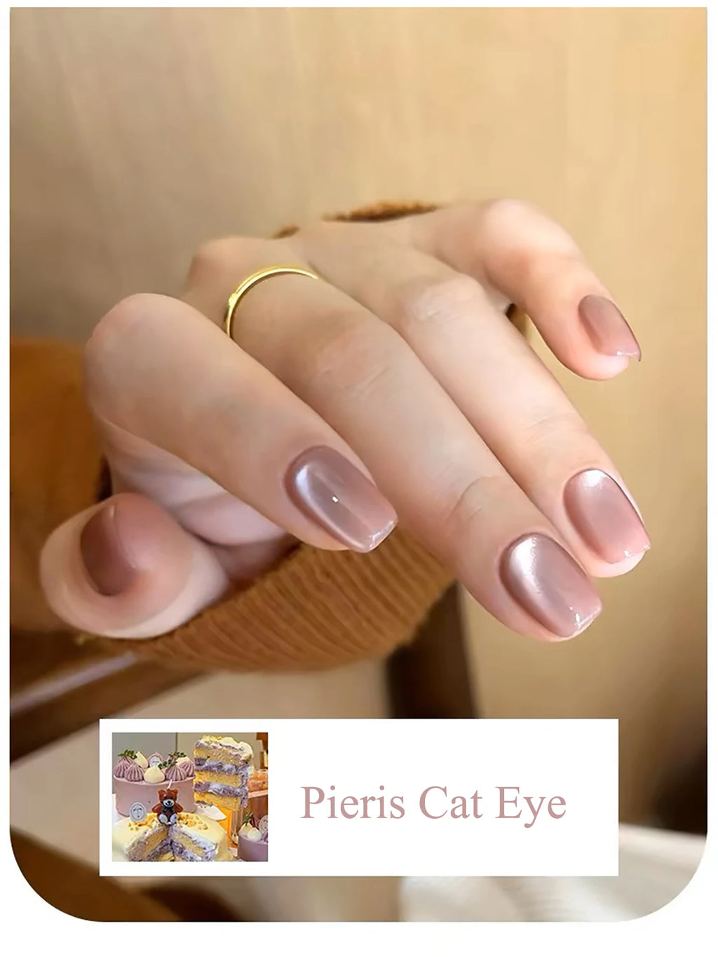WS Black Glass Cat Eye Magnetic Gel Nail Polish