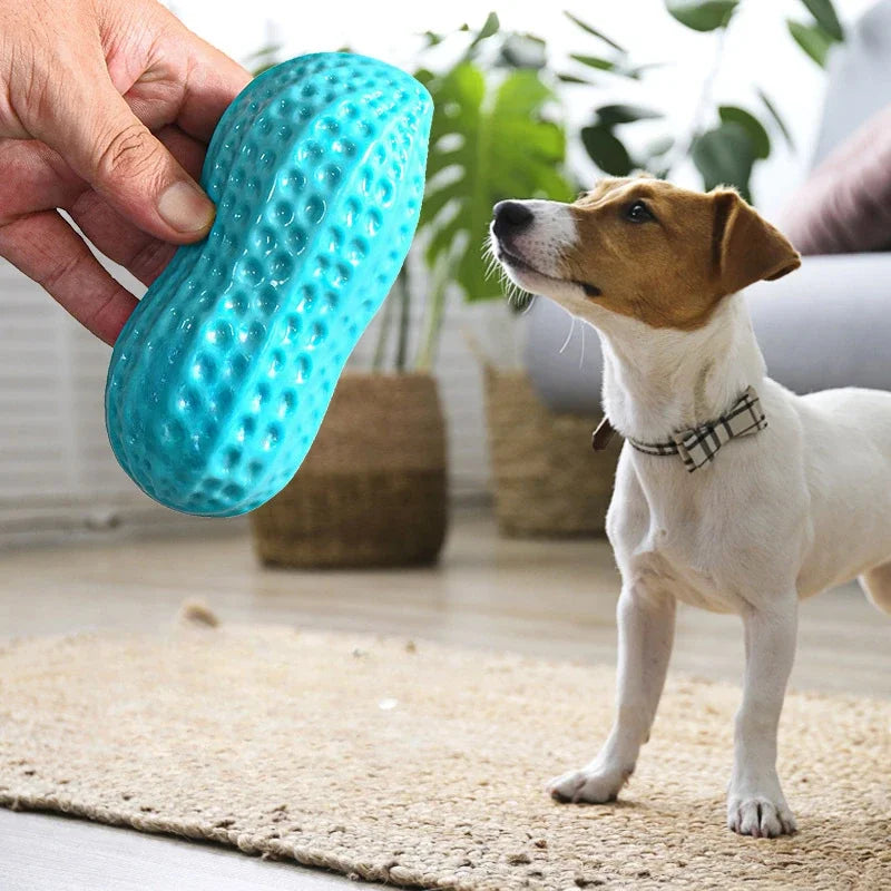 BarkBuddy™ Squeaky Peanut Durable Dog Chew Toy