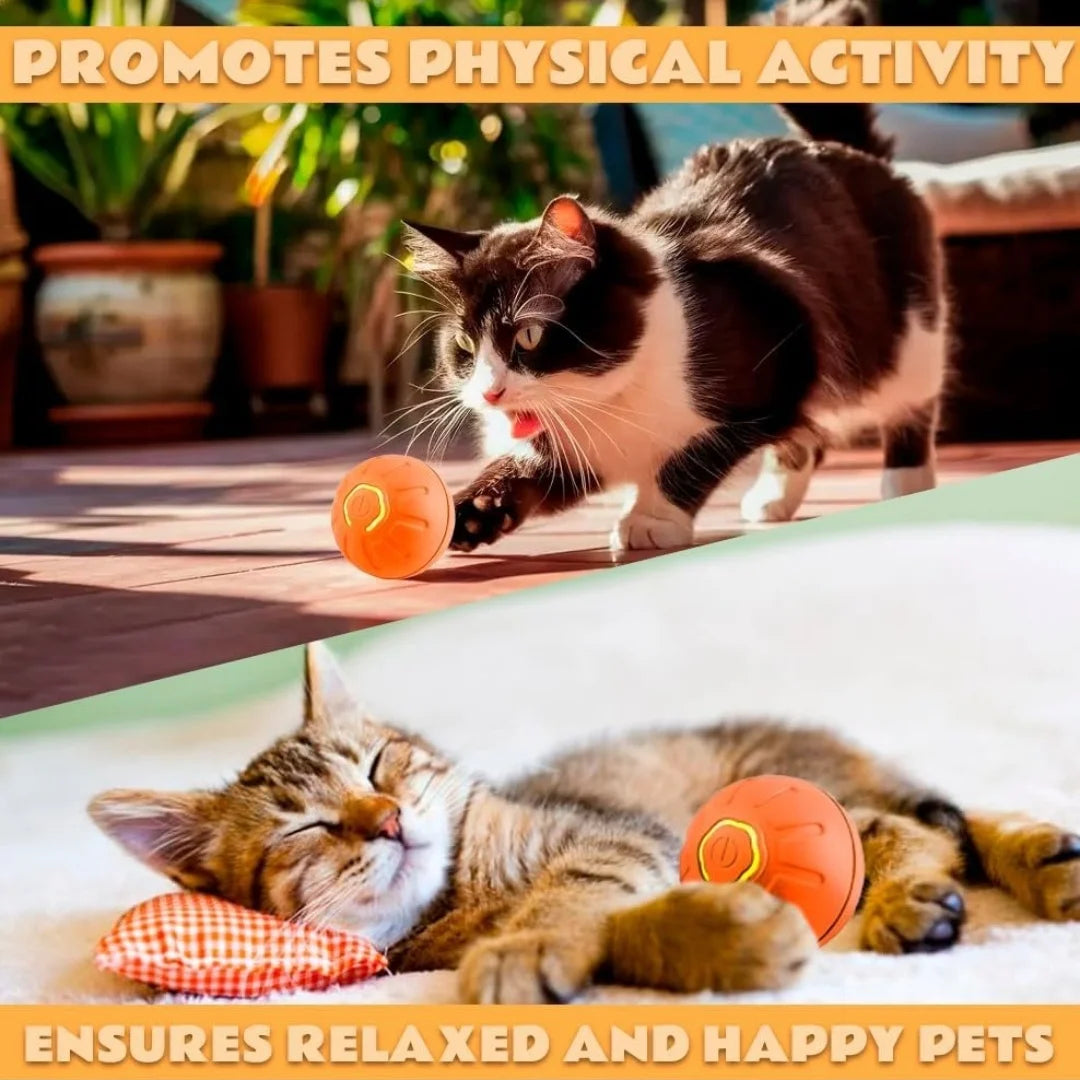 Smart Gravity Electric Amusement Ball | Automatic Bouncing Toy for Dogs & Cats