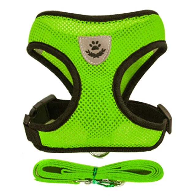 Breathable Mesh Pet Harness and Leash Set for Small to Medium Dogs & Cats