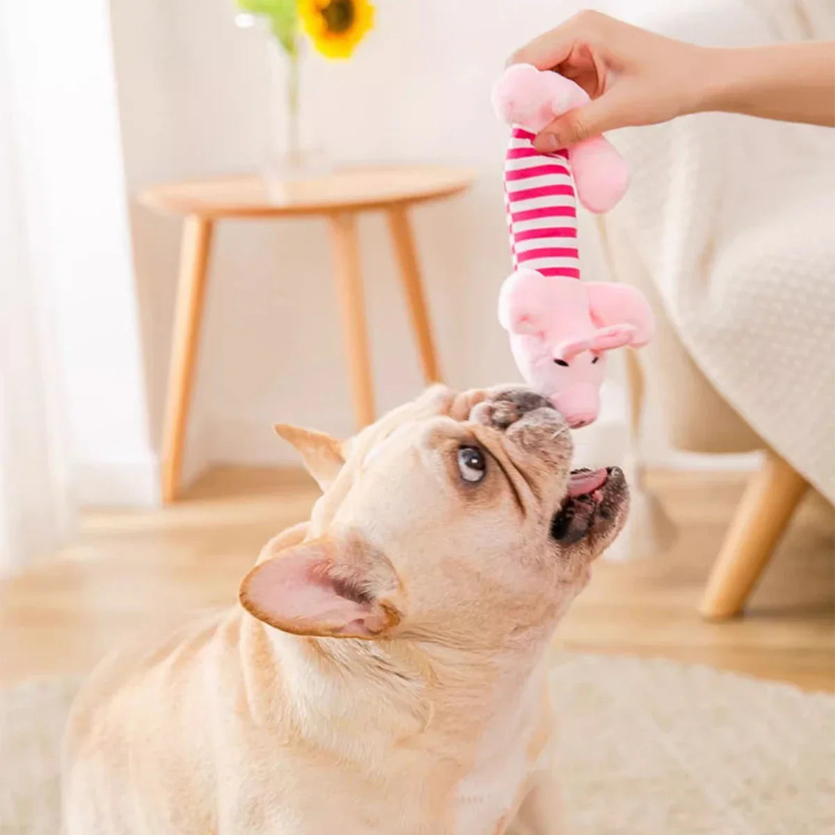 Interactive Cartoon Embroidery Plush Toy | Cute Squeaky Stress-Relief Toy for Dogs & Cats