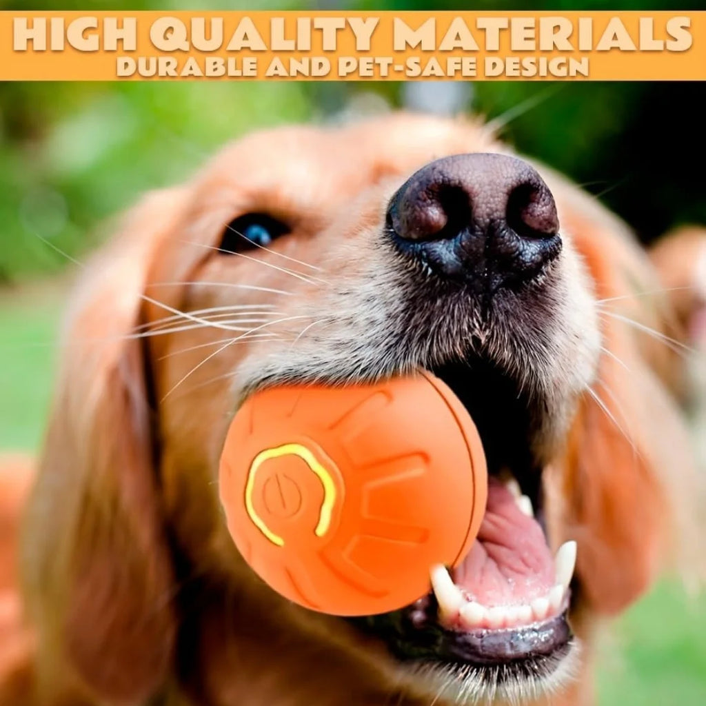 Smart Gravity Electric Amusement Ball | Automatic Bouncing Toy for Dogs & Cats