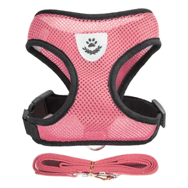 Breathable Mesh Pet Harness and Leash Set for Small to Medium Dogs & Cats