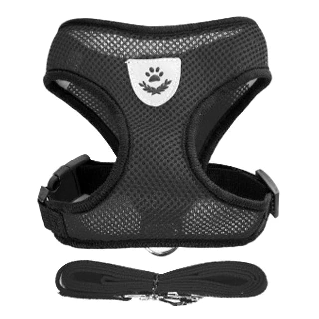 Breathable Mesh Pet Harness and Leash Set for Small to Medium Dogs & Cats